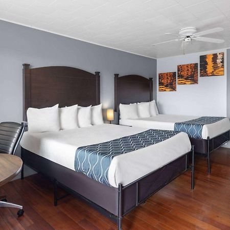 Travelodge By Wyndham Grand Falls Εξωτερικό φωτογραφία